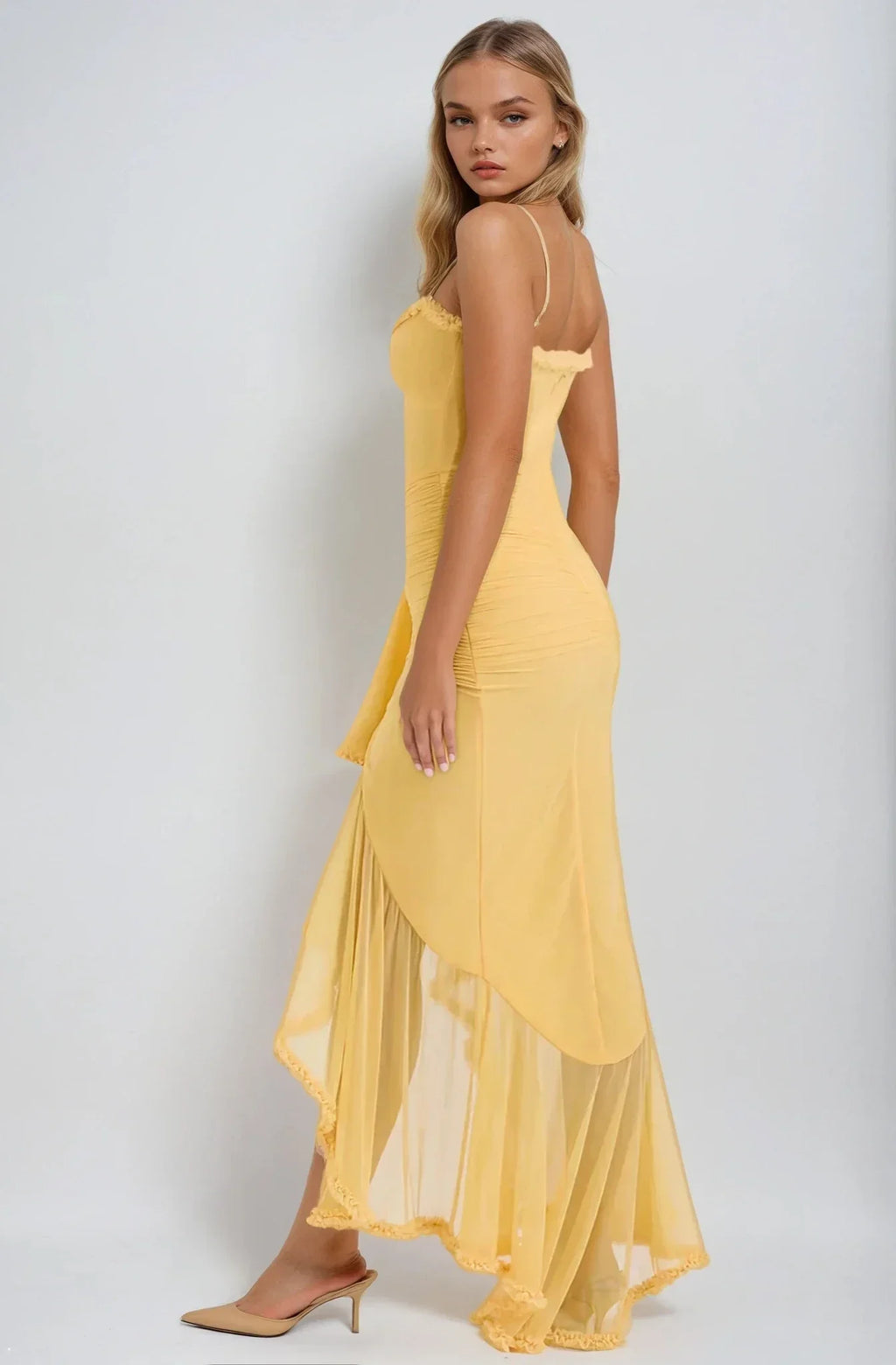 Dianella Ruffle Mesh Maxi Dress